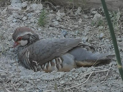 4.JPG (94.27 KiB) 2924 mal betrachtet ab in die Kuhle, hach, ist das schön!