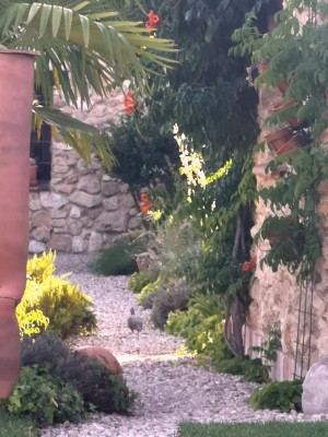 15 Richtung Parkplatz.JPG (87.71 KiB) 2392 mal betrachtet Klar, In Richtung Parkplatz - und dann schnurstracks zu<br /> „de Höhner“….