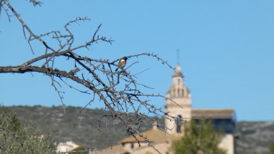 P1030297klein.jpg