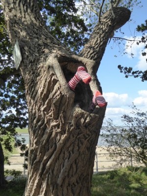 Baum - Füße.jpg