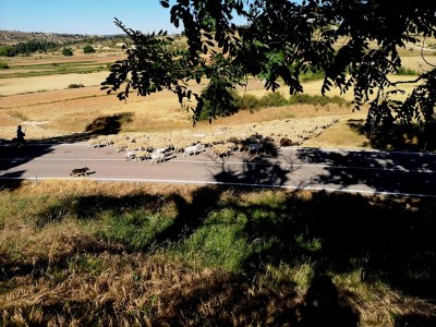 Rasenmäher auf dem Heimweg.JPG (132.67 KiB) 2528 mal betrachtet Rasenmäher auf dem Heimweg