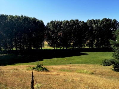 frisch gemäht.JPG (86.61 KiB) 2528 mal betrachtet frisch gemäht