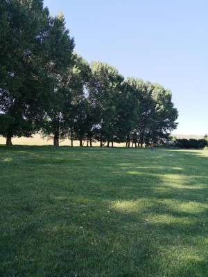 das Fairway.JPG (96.12 KiB) 4197 mal betrachtet Fairway