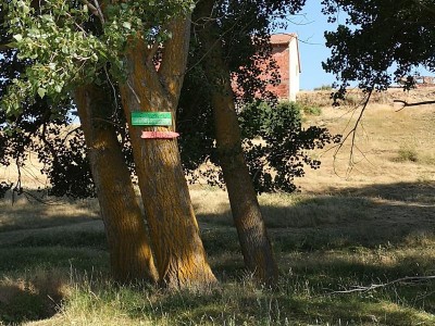 Hinweis zum Pitching Green.JPG (144.2 KiB) 2528 mal betrachtet Hinweisschild zum Pitching-Green