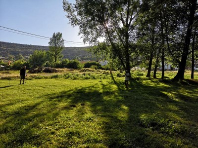 die Suche.JPG (196.53 KiB) 2528 mal betrachtet die Suche nach dem Ball gestaltete sich manchmal<br />schwierig