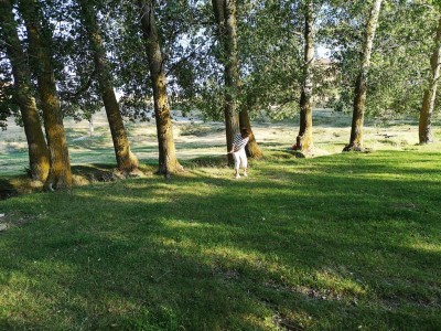 dort sollte der Ball eigentlich nicht landen.JPG (155.54 KiB) 2528 mal betrachtet Im Graben sollte der Balll eigentlich nicht landen!