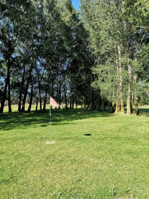 letzte Bahn.JPG (172.77 KiB) 2528 mal betrachtet Loch 9 am Ende einer Allee