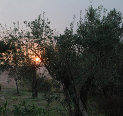 K800_sONNENAUFGANG.JPG