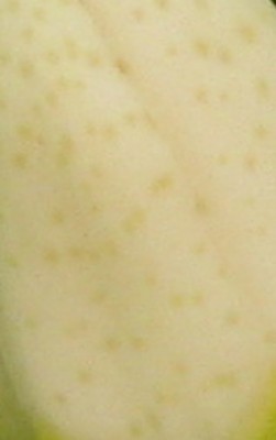 Rätsel2.JPG (29.04 KiB) 1185 mal betrachtet Gleiches Objekt, anderer Zustand ...