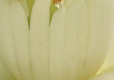 Rätsel3.JPG (54.88 KiB) 1177 mal betrachtet Ich gebe zu, es ist "ein bisschen" vergrößert ....