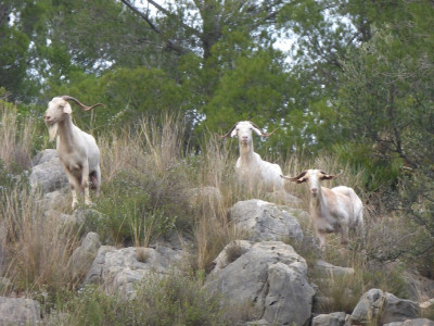 P1340094.JPG