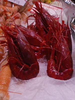 K800_gambas rojas.JPG (105.22 KiB) 3302 mal betrachtet sattrote Farbe