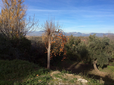 Im Dezember 2018 in El Fargue (Teil des nordöstlichen Albaizín