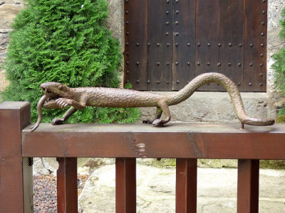 P1320158.JPG