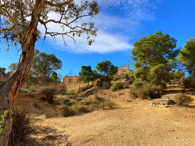 2461B89C-C4CA-4765-9808-0C252F9C5F47.jpeg (184.92 KiB) 4827 mal betrachtet Nur wenige Meter vom Parkplatz entfernt