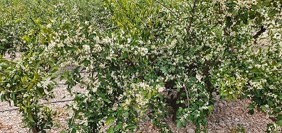 20220415_082214.jpg-2.jpg
