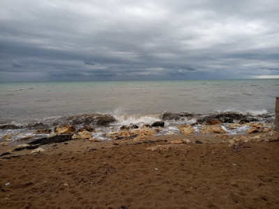 20220420_155627.jpg