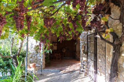 K800_DSC_0226.JPG (139.13 KiB) 2938 mal betrachtet es geht doch nichts über natürlichen Sonnenschutz!