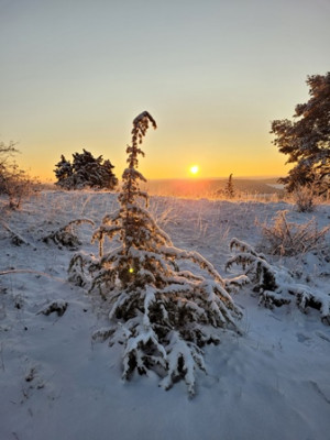 Sonnenaufgang 04.jpg