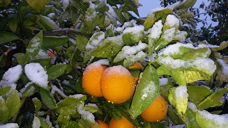 20170118_084150-2.jpg