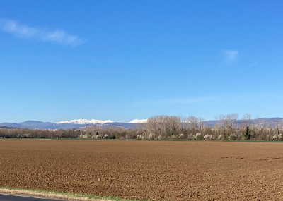 Es liegt noch Schnee auf dem Massif du Sancy