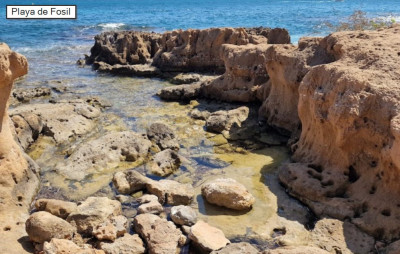 Playa de Fosil.jpg