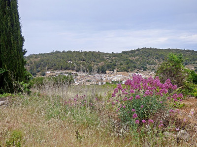 P1400024.JPG