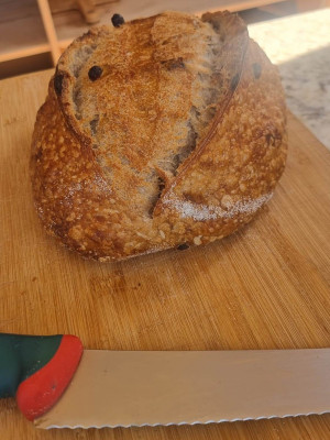 Special Bread 12 Euro.jpeg (212.42 KiB) 10581 mal betrachtet Würzig-süß: das Special Bread für 12 Euro<br />mit pasas (Rosinen) und nueces (Nüssen),<br />auch in Deutschland teuer!