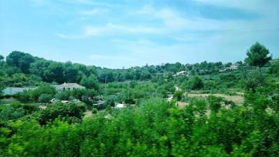 9 vorbei an Feldern, Wäldern und Wohnhäusern.JPG (171.05 KiB) 5513 mal betrachtet Die Fahrt im angenehm klimatisierten Zug mit ausreichenden Sitzplätzen führte vorbei an