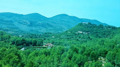 13 malerisch gelegenen Fincas.JPG (182.28 KiB) 5513 mal betrachtet einsam gelegenenen Fincas