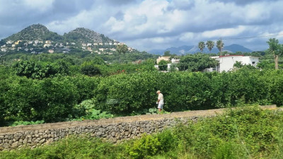 14 Die EInheimischen gehen ihren Tätigkeiten nach, die Ausländer thronen auf dem Berg.JPG (162.92 KiB) 3895 mal betrachtet Im Tal gehen die Einheimischen ihrer täglichen Arbeit nach, in den Häusern "mit Blick" residieren hauptsächlich Ausländer.