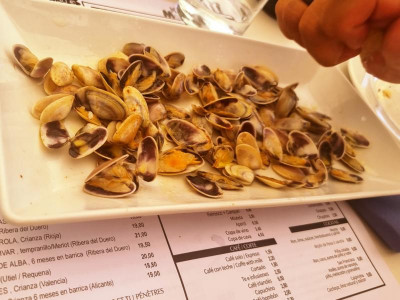 32 Tellerinas.JPG (72.23 KiB) 3895 mal betrachtet Nur unsere Kleine machte eine Ausnahme:<br />Es mussten Tellerinas sein. Wie man sie isst, hat ihr die Oma schon vor ein paar Jahren gezeigt, seitdem werden sie in jedem Urlaub bestellt. Diesmal reichten ihr zwei Portionen. Der Preis überstieg unser Menü um 8,50 Euro