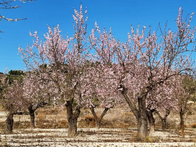 1.JPG (164.45 KiB) 3993 mal betrachtet 1.JPG