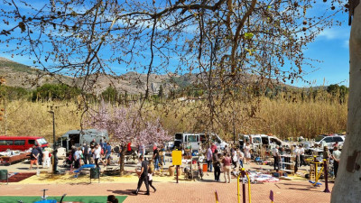 K800_Rastro am Samstag.JPG (225.33 KiB) 3989 mal betrachtet Schon morgens um 11 Uhr war der Flohmarkt <br />bei herrlichstem Sonnenschein gut besucht