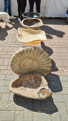 K800_Ein schön teurer Ammonit.JPG (144.37 KiB) 3989 mal betrachtet oder schöne Ammoniten