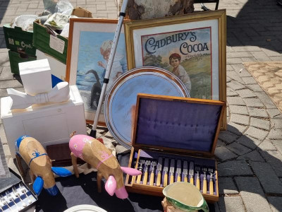 K800_bunte Sauen.JPG (89.71 KiB) 3989 mal betrachtet Bunte Sauen neben