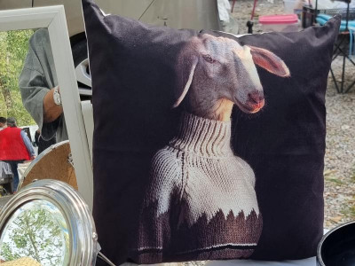 K800_Österlich - Schaf.JPG (79.73 KiB) 3989 mal betrachtet eins sogar mit warmen Pulli