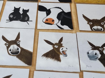 K800_lachende Esel.JPG (60.54 KiB) 3989 mal betrachtet Darüber könnte man lachen, wenn es nicht zum Heulen wäre