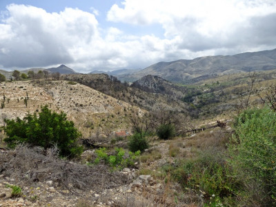 P1450144.JPG