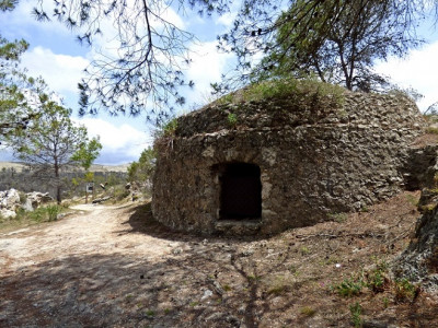 P1450166.JPG