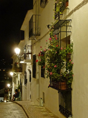P1540035.JPG