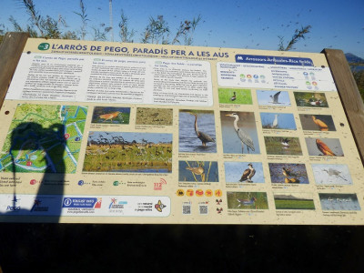 P1340221.JPG