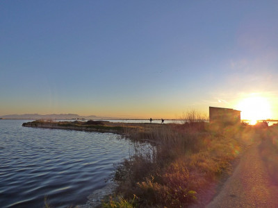 P1350026.JPG