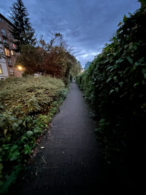 Heimweg.jpg