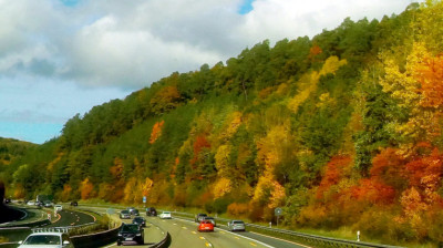 2022_10_16_Herbstfarben_FR_[scale4].jpg