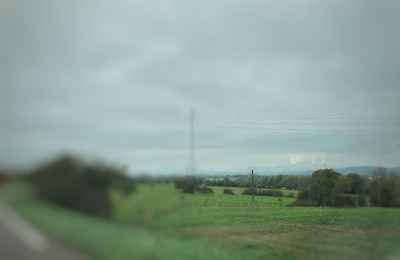 IMG_3180.jpeg