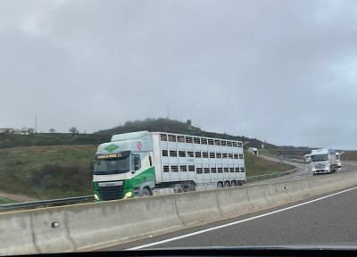 Miss Piggy und Familie auf ihrer letzten Tour