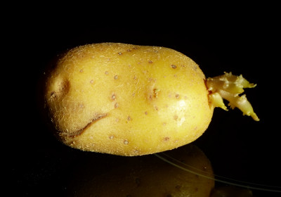 P1470017.JPG