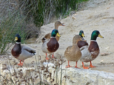 P1470031.JPG