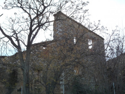 P1010008.JPG